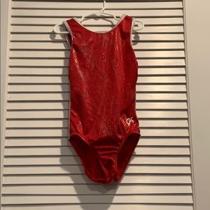 Red and Silver GK leotard
